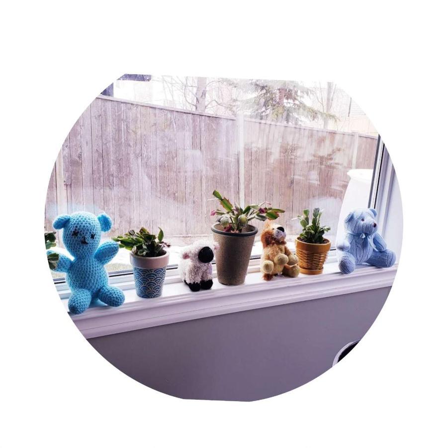 Best Garden House&3 Mins Bus Station Close C-Train&Free Parking YYC Exteriér fotografie
